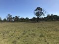 #5: View to the north from the confluence point. 