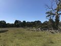 #6: View to the east from the confluence point.