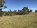 #8: View to the west from the confluence point. 