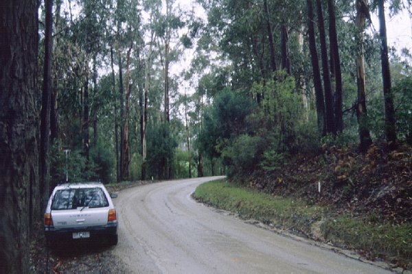 View to the north