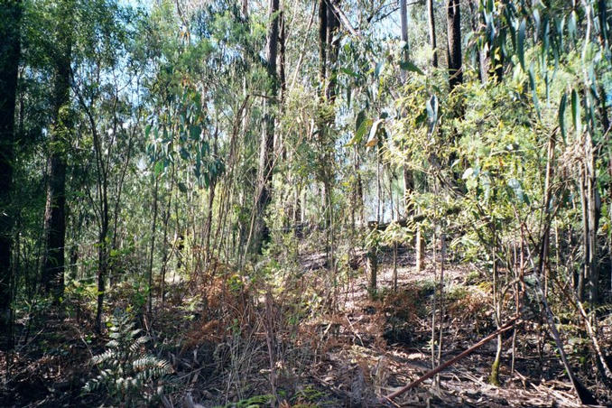 Fenced off area next to the confluence