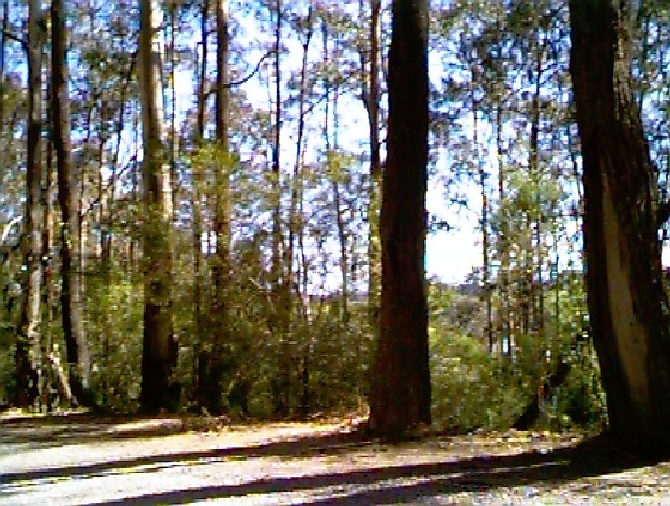 Unsealed road next to the confluence