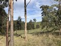 #9: View of the surrounding countryside from a point 500 meters north of the confluence, looking west.