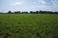 #4: View East (towards Maffra-Sale Road, 100 m away)