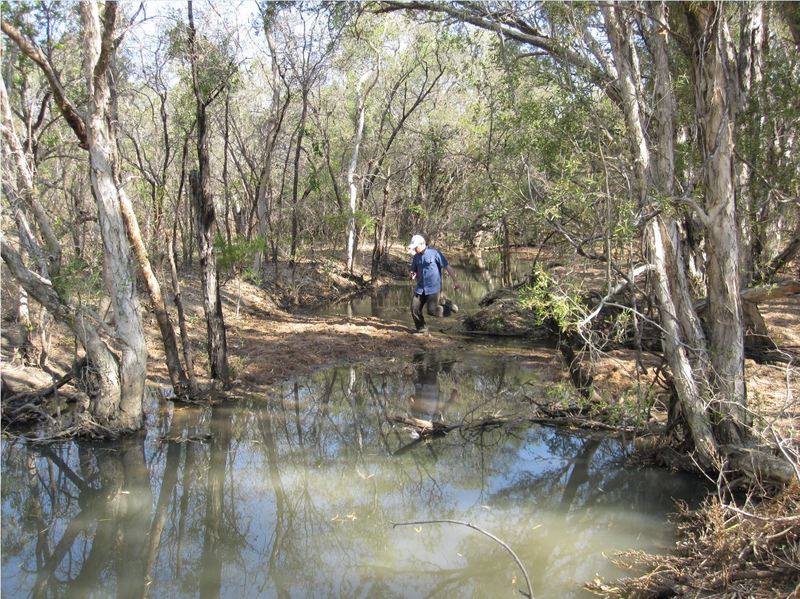 Croc country