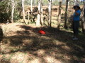 #6: Red backpack at ground zero