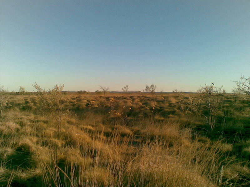 View from the confuence point, facing south.