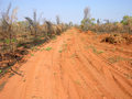 #7: The last part of the freshly graded track heading east