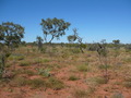 #2: View From Confluence to East