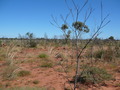 #4: View From Confluence to West