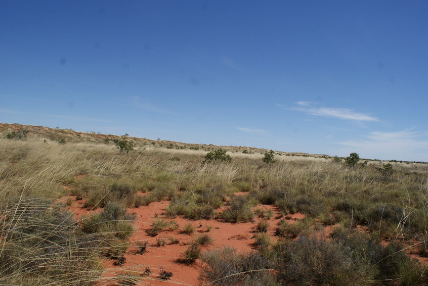 West view from confluence 20 122