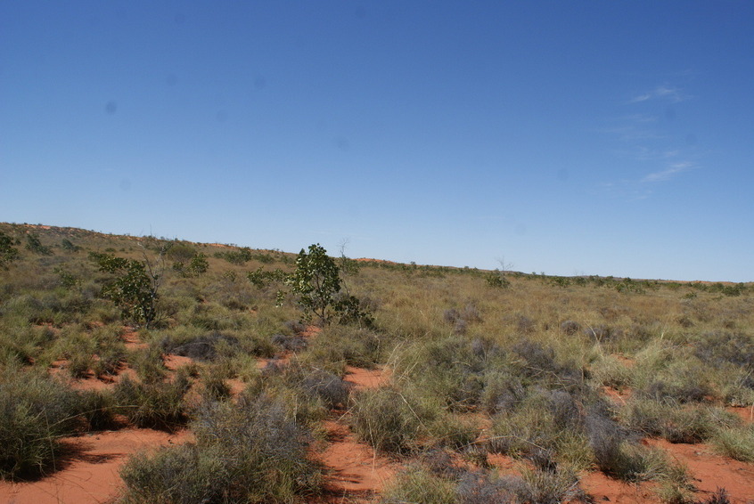 East view from Confluence