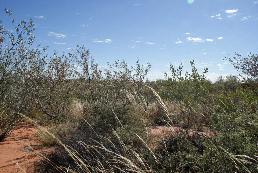 Standing on confluence - view to the north 