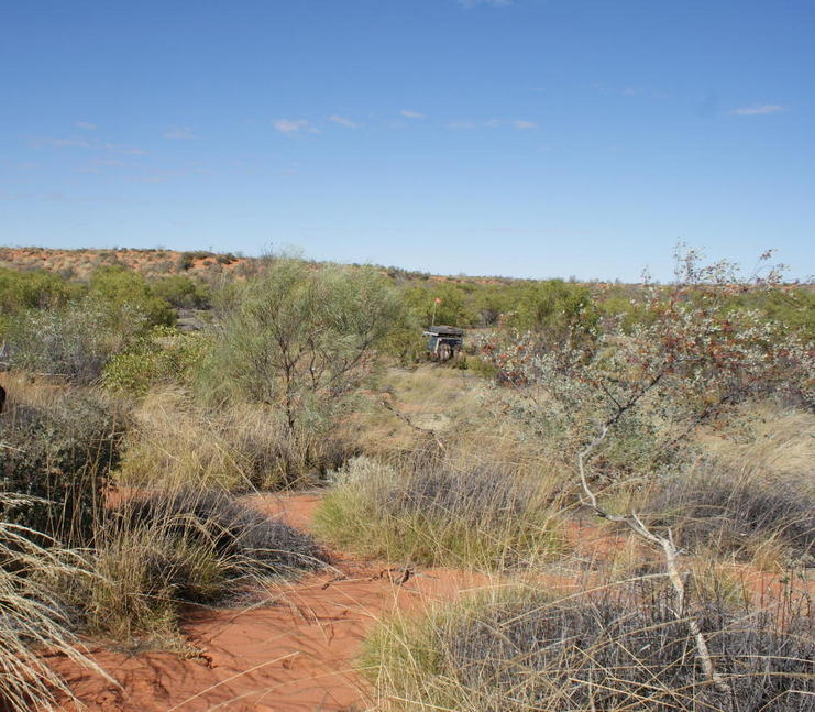 Confluence 20 S 123 E on side of sand dune (View is south)