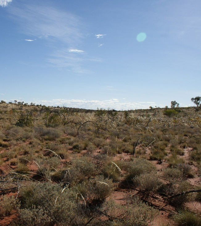 View of confluence area