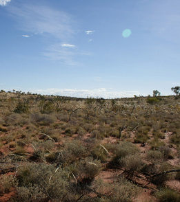 #1: View of confluence area