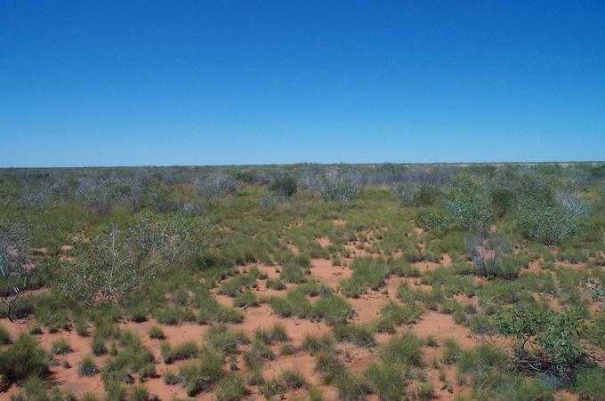 View south from 20°S 128°E