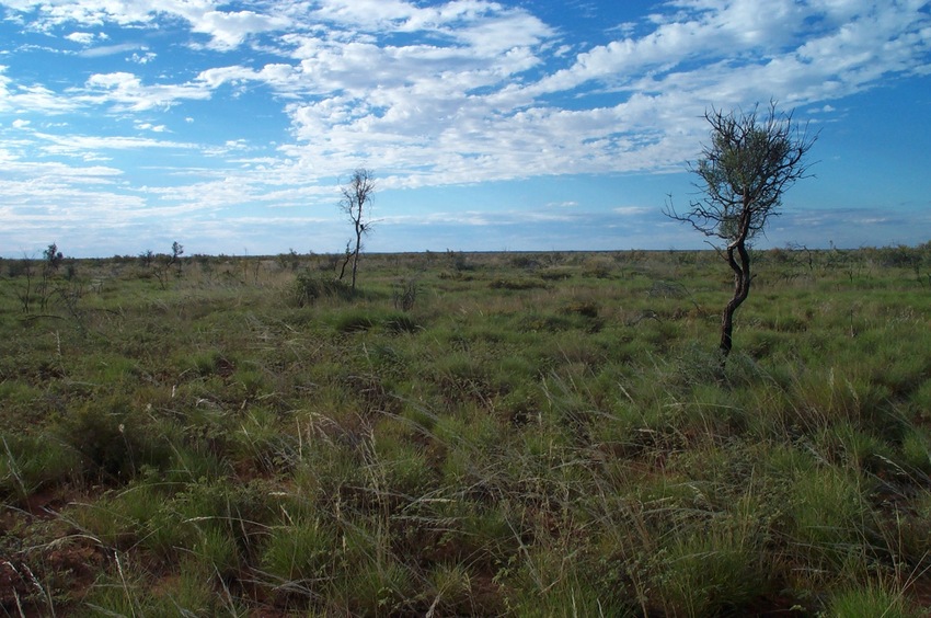 View north from 20°S 129°E towards Killi-Killi Hills