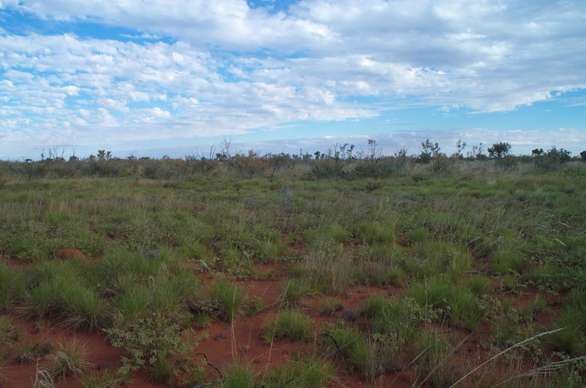 View south from 20°S 129°E