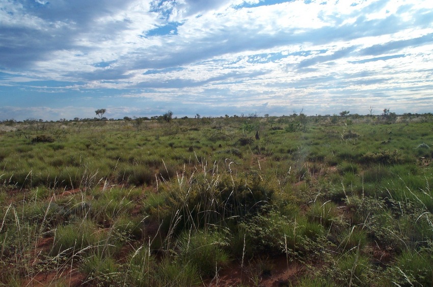 View west from 20°S 129°E