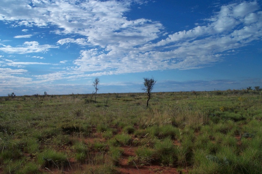 Looking north towards 20°S 129°E, approximately 10m away.