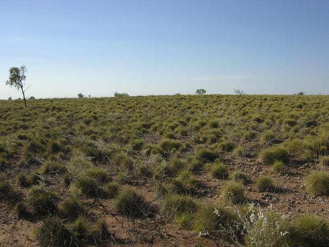 View from the confluence, looking north