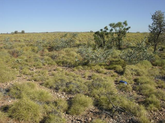 View from the confluence, looking south