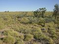 #4: View from the confluence, looking south