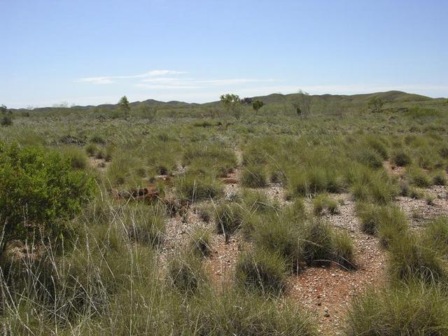 View from the confluence, looking north