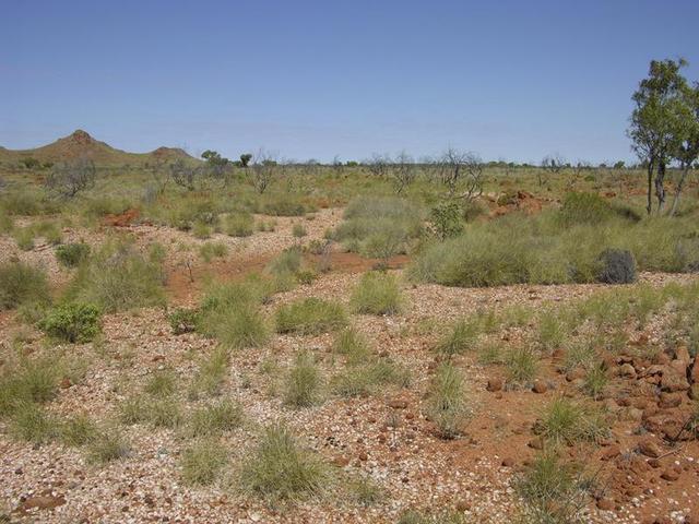 View from the confluence, looking south