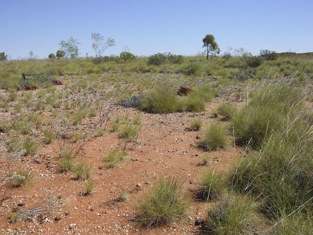 View from the confluence, looking west