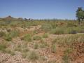 #4: View from the confluence, looking south