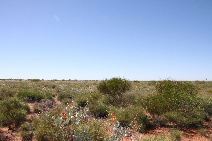 Confluence site looking north