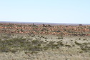 #7: The Dune Country north of the confluence