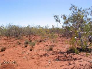 #1: Confluence from 50m east