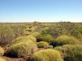 #4: View from the confluence looking south