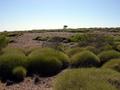 #5: View from the confluence looking west