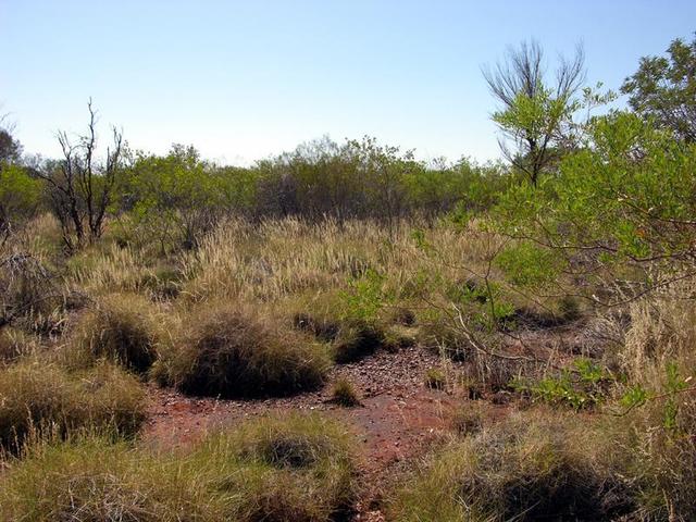 View from the confluence looking east