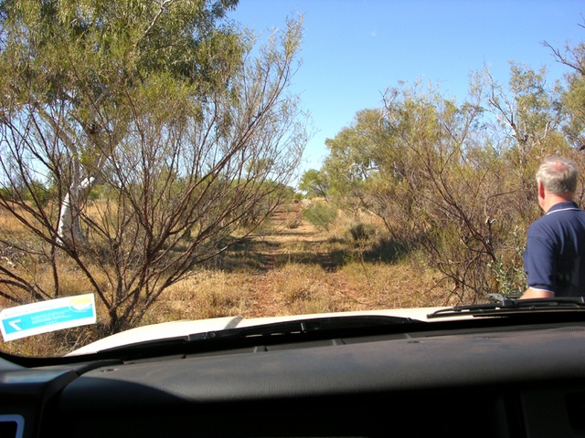 The "Main" track - Rod preparing to attack with tree clippers (Sandy's photo)