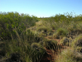 #2: View from the confluence looking north