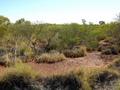 #5: View from the confluence looking west