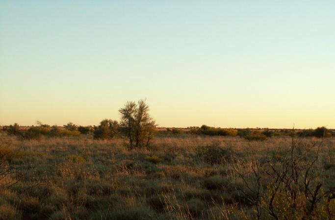 View North from Confluence