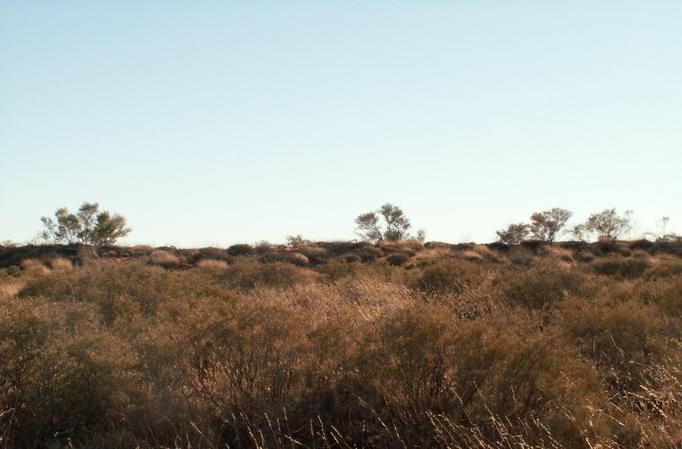 Looking N from the Confluence