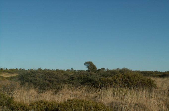 Looking West from the Confluence