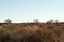 #2: Looking N from the Confluence