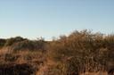 #3: Looking E from the Confluence