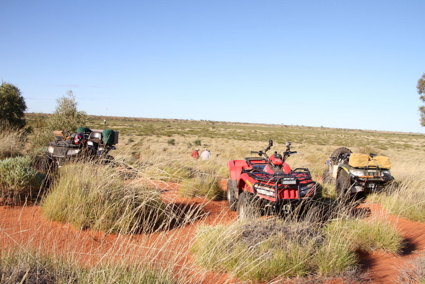 Quads at the confluence site