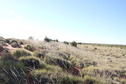 #3: View East
