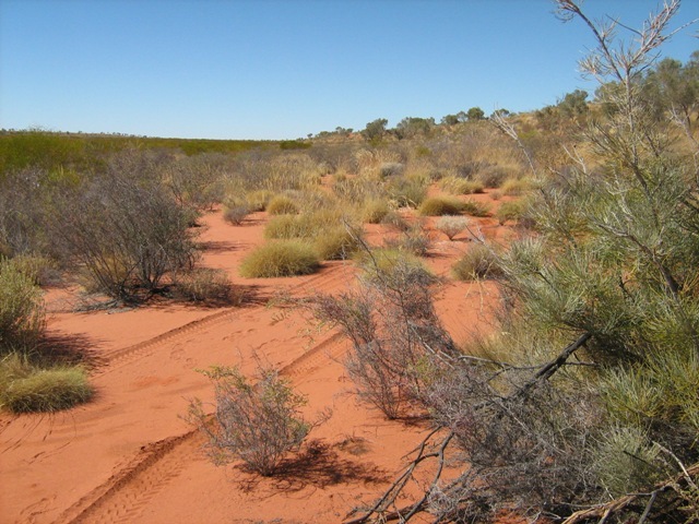 View to east of confluence