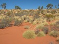 #3: View to south of confluence